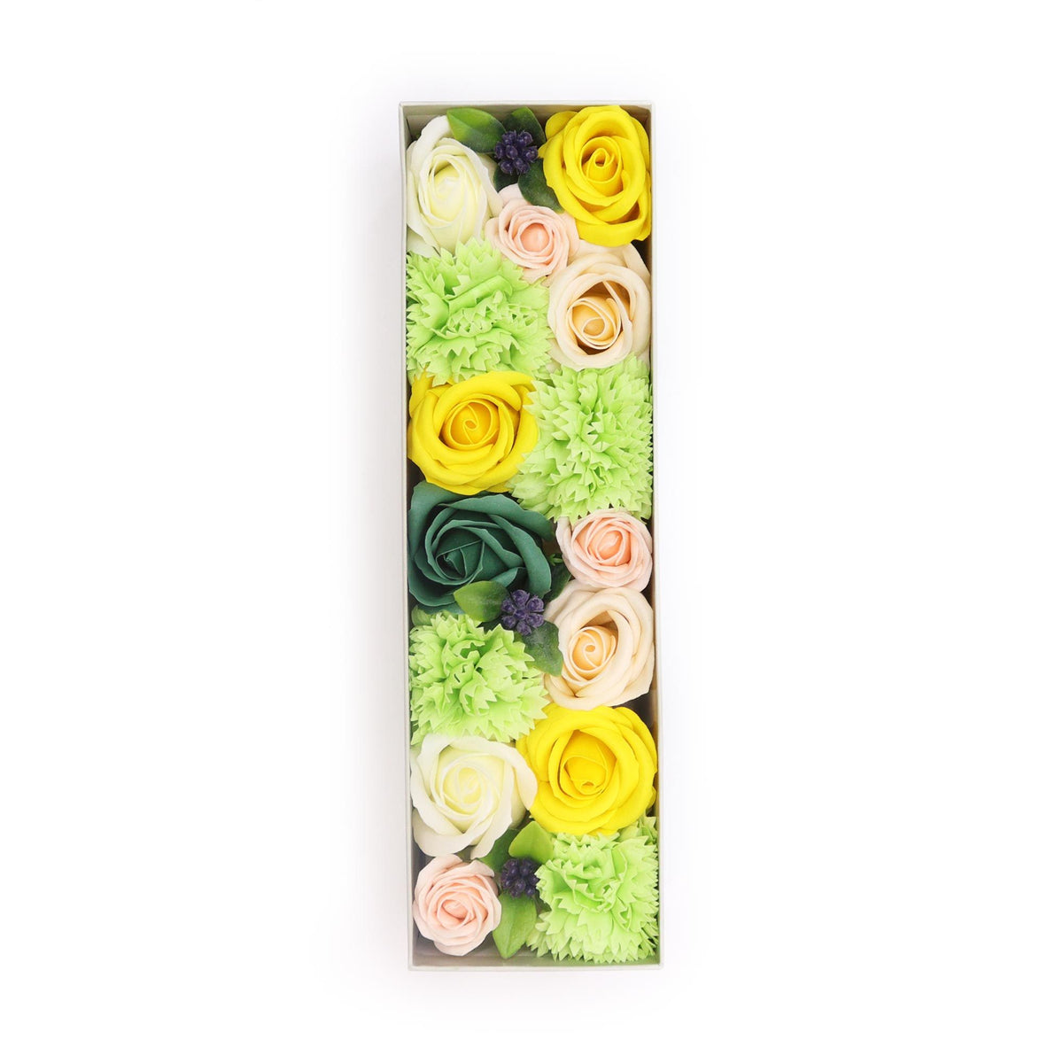Long Box - giallo e verde