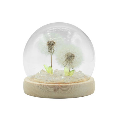 Decorazione luminosa sotto vetro – Due soffioni · USB
