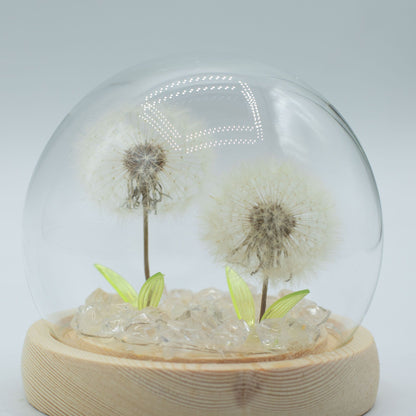 Decorazione luminosa sotto vetro – Due soffioni · USB