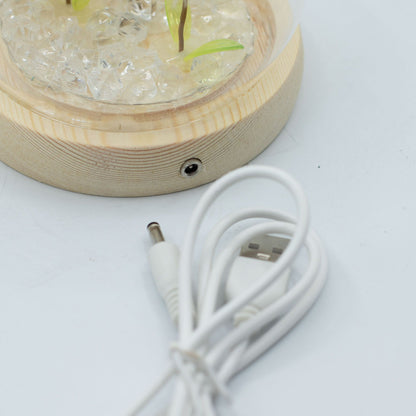 Decorazione luminosa sotto vetro – Due soffioni · USB