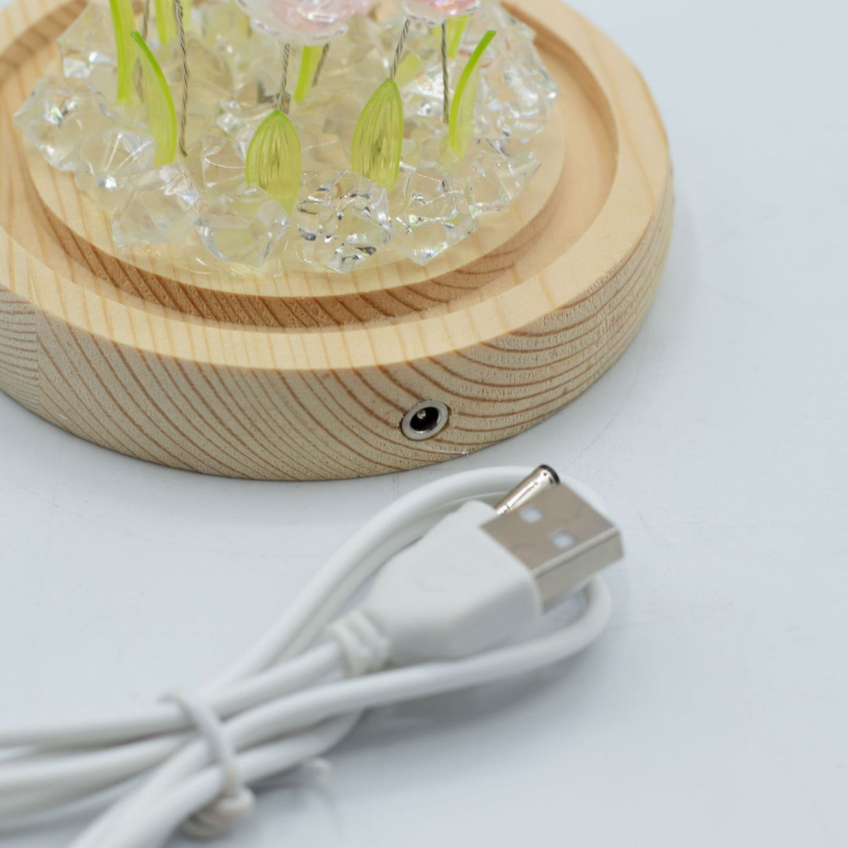 Decorazione luminosa sotto vetro – Rose rosa · USB