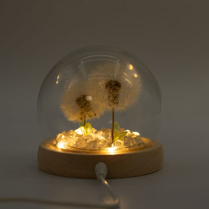 Decorazione luminosa sotto vetro – Due soffioni · USB