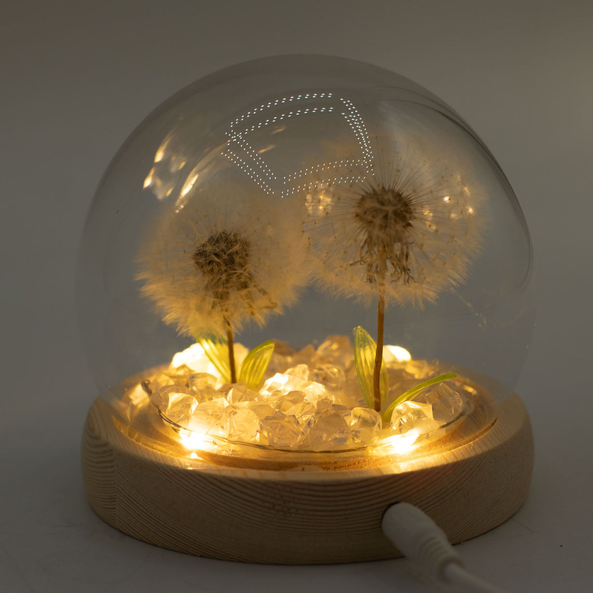 Decorazione luminosa sotto vetro – Due soffioni · USB