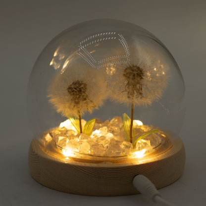 Decorazione luminosa sotto vetro – Due soffioni · USB