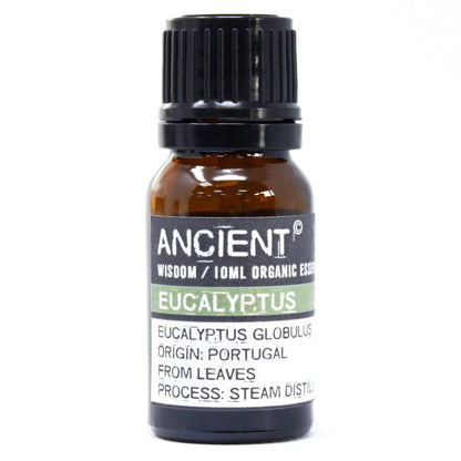 Olio essenziale biologico di eucalipto 10 ml